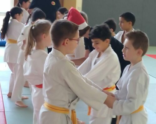 Ishaak, en plein travail de technique de combat et self défense, stage départemental enfants 2023, La Chapelle Saint Mesmin.